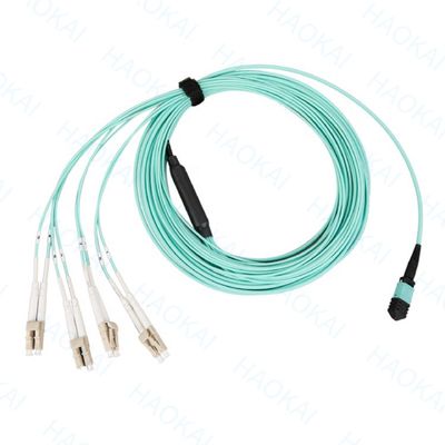 Breakout Single Mode Sc Fiber Optic Patch Cord 12 Núcleos Duplex OS2